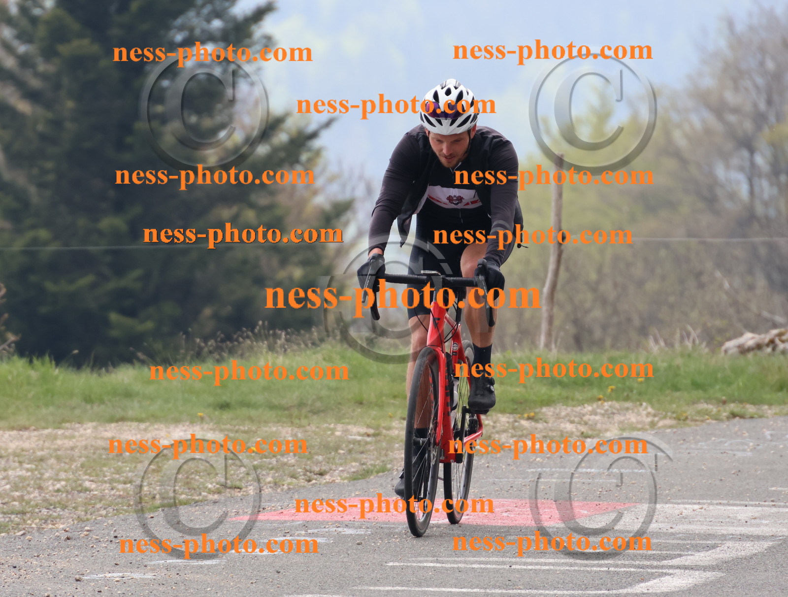 Col du Grand Colombier (141).JPG