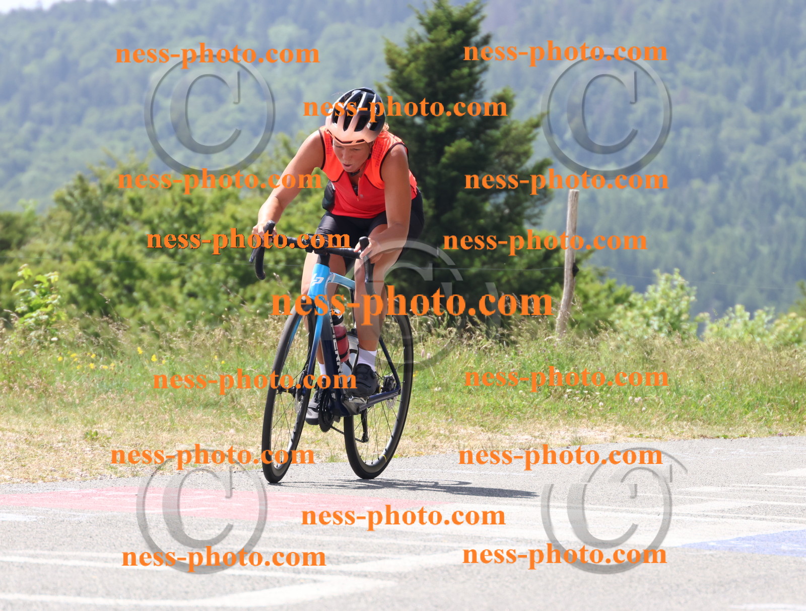 Col du grand Colombier (2064).JPG