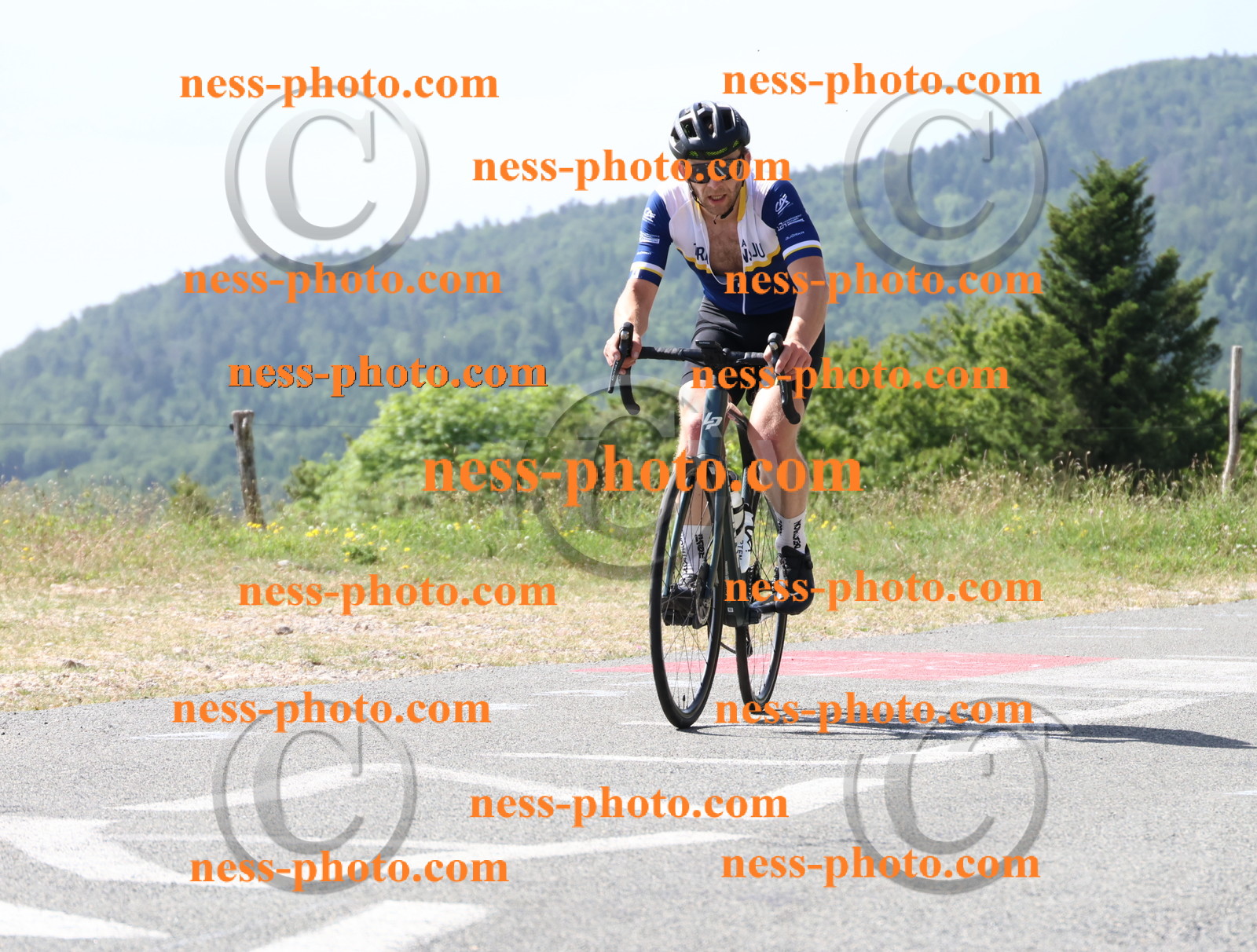 Col du grand Colombier (799).JPG