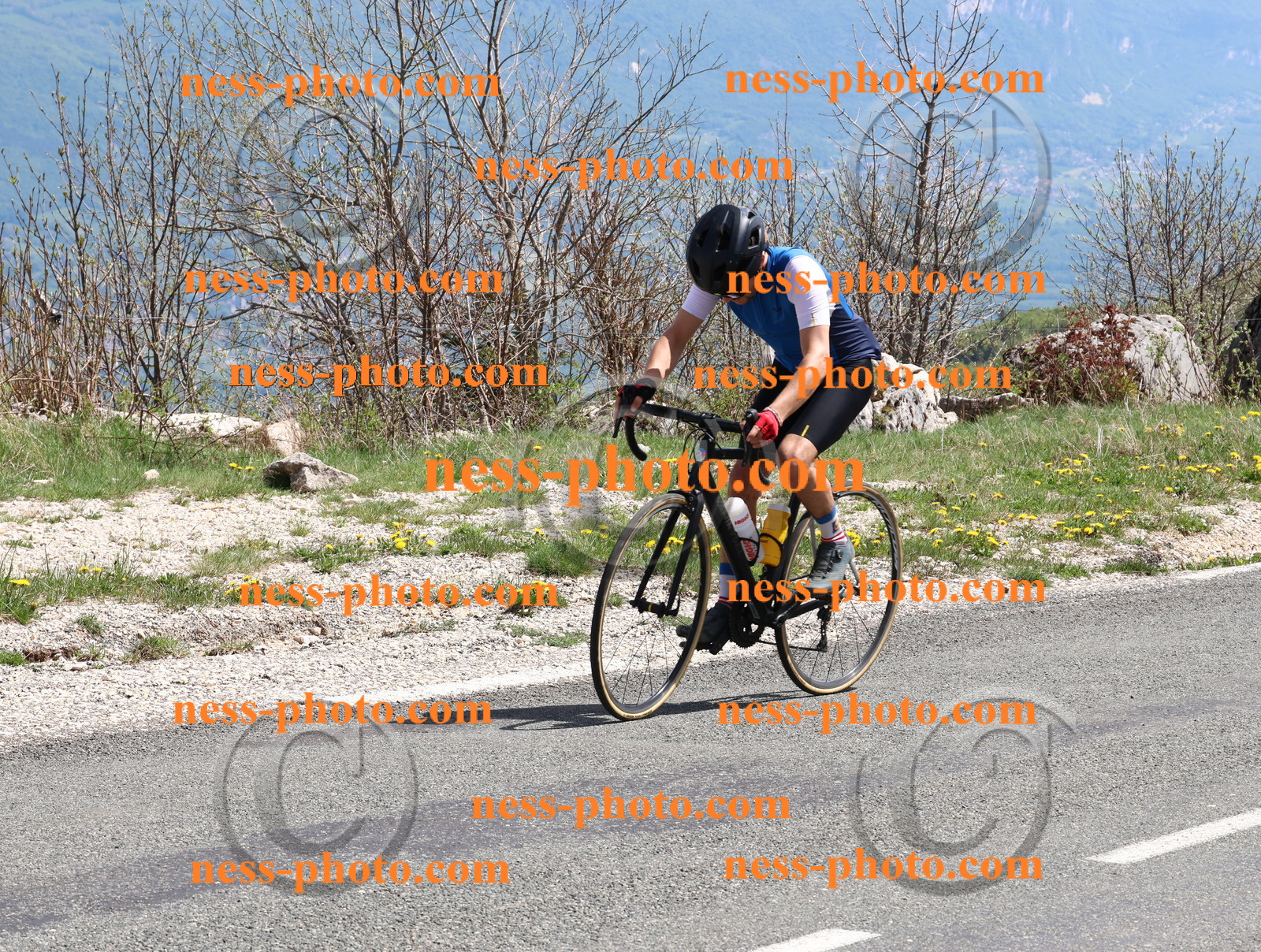 Col du Grand Colombier (884).JPG