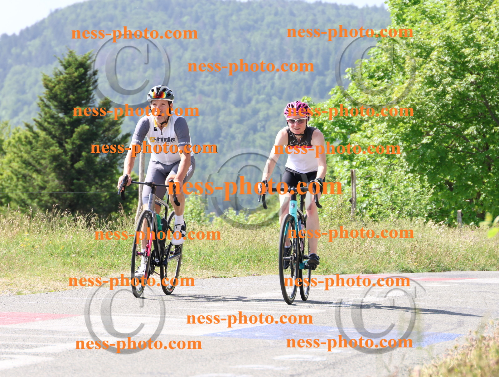 Col du grand Colombier (886).JPG