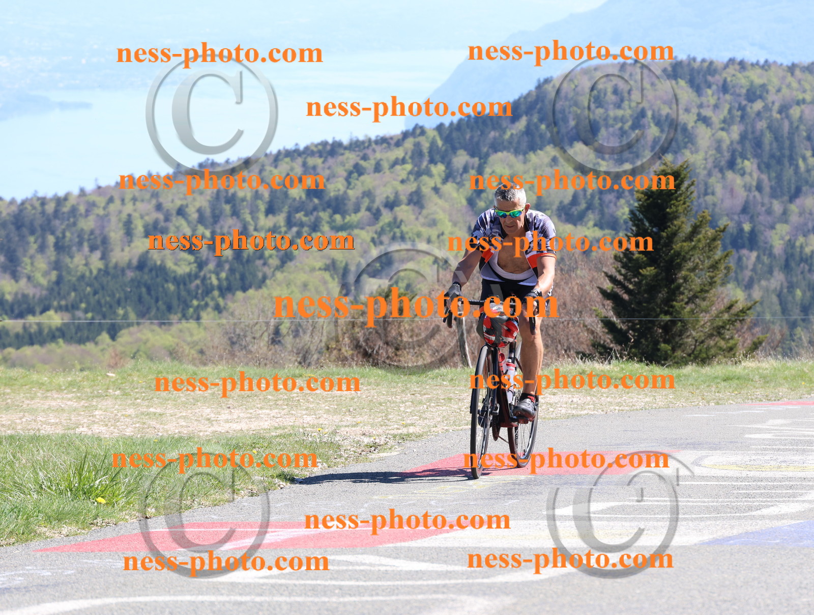 Col du Grand Colombier (1006).JPG