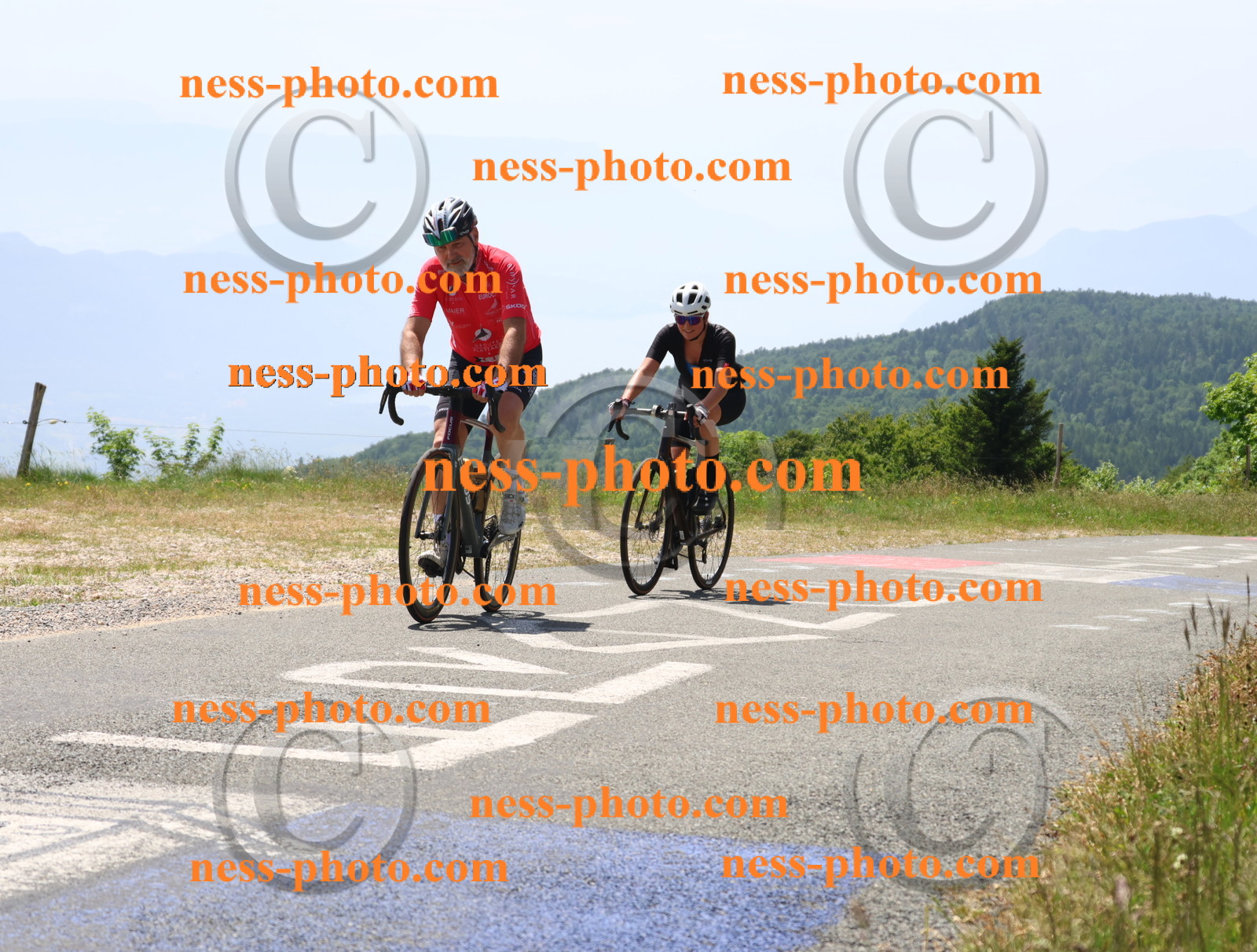 Col du grand Colombier (2506).JPG