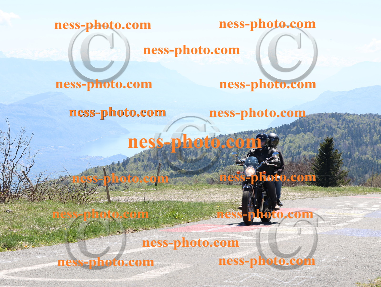 Col du Grand Colombier (94).JPG