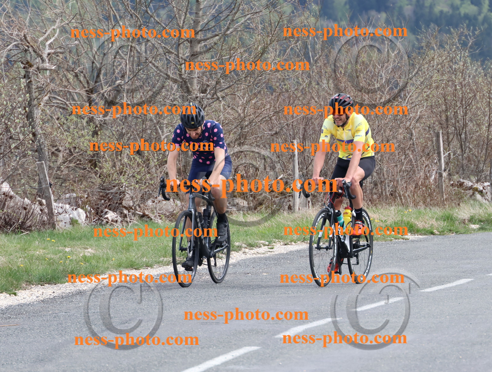 Col du Grand Colombier (1149).JPG