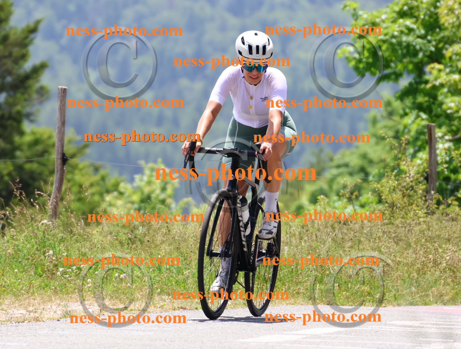 Col du grand Colombier (2936).JPG