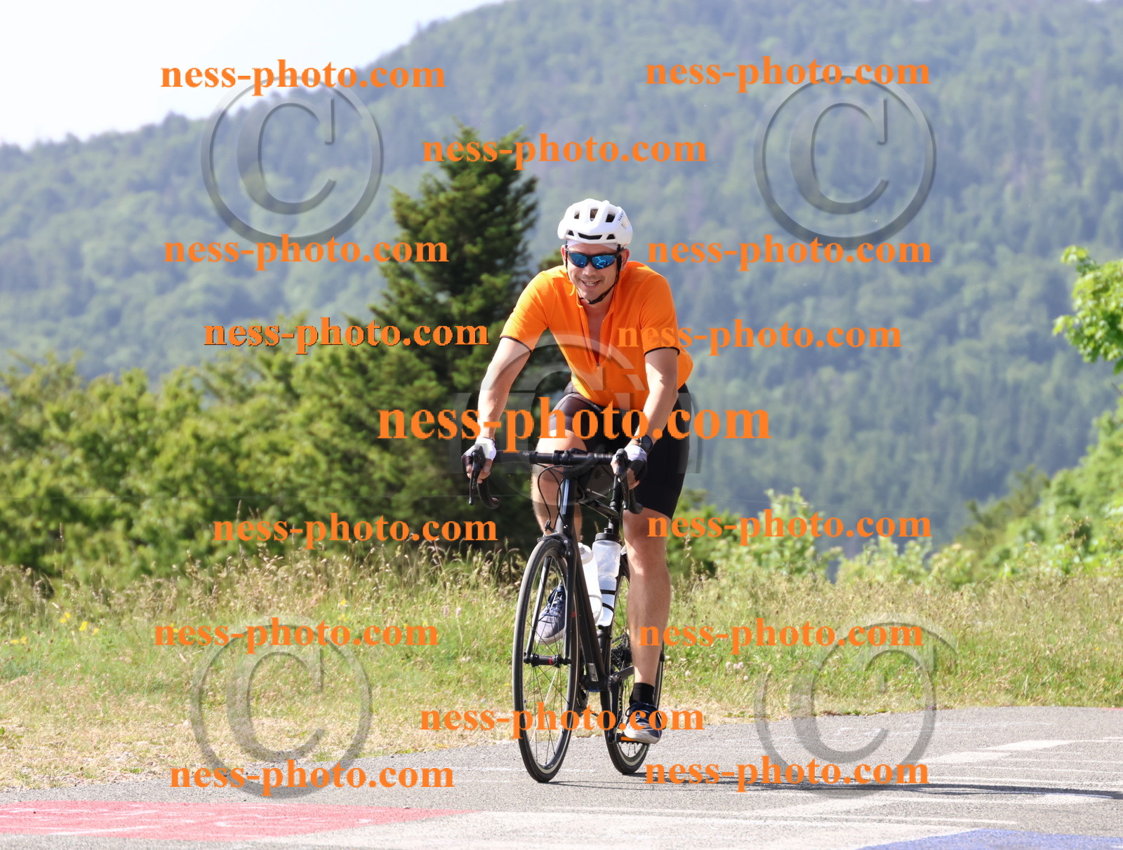 Col du grand Colombier (486).JPG