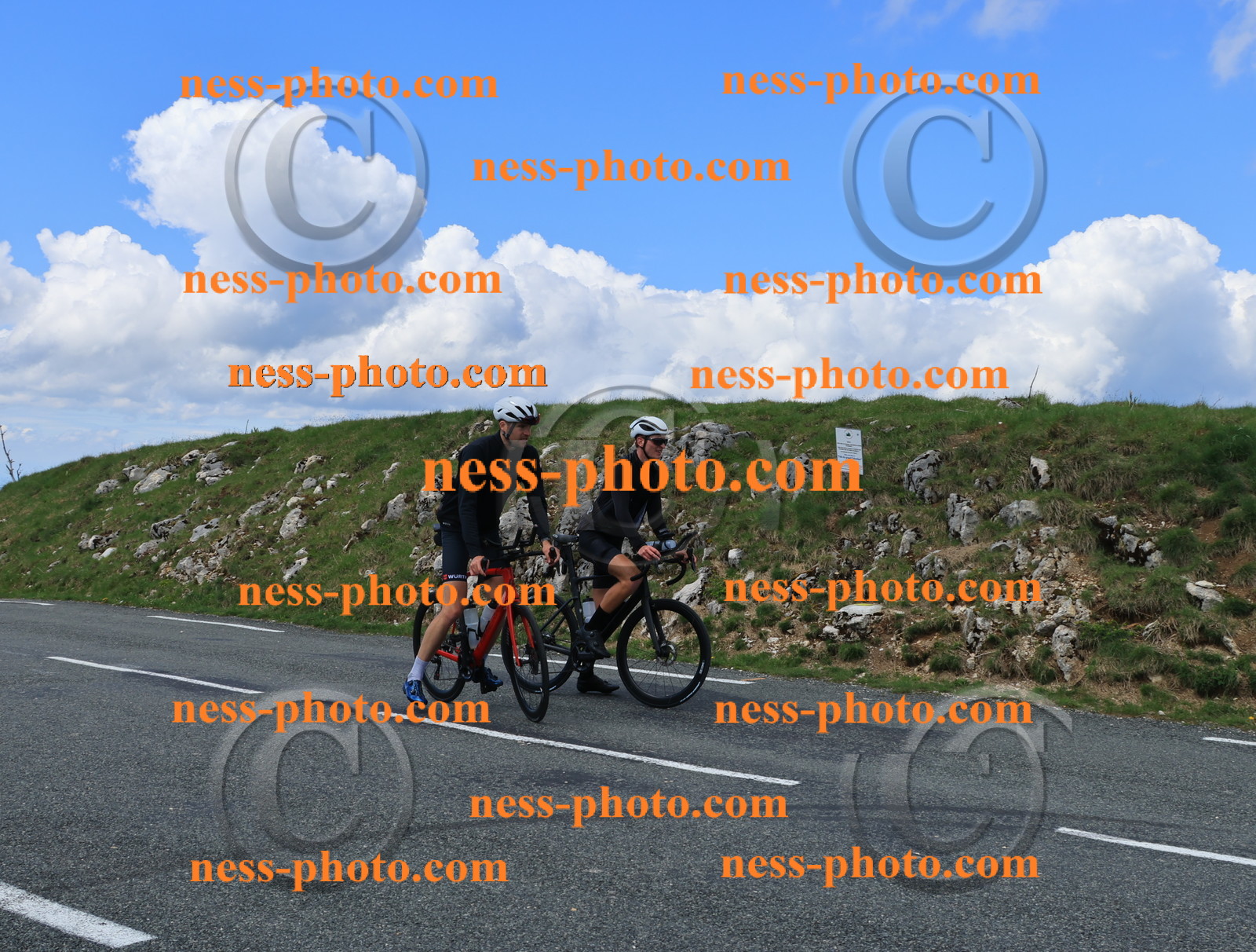 Col du Grand Colombier (2936).JPG