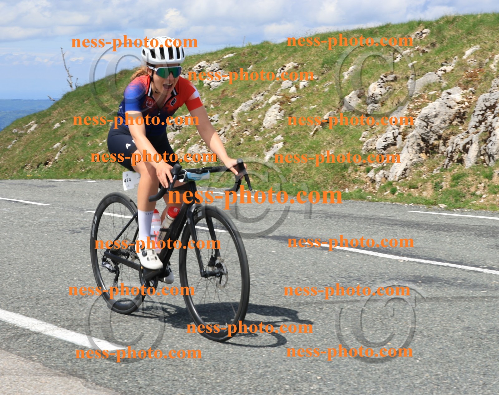 Col du Grand Colombier (2555).JPG