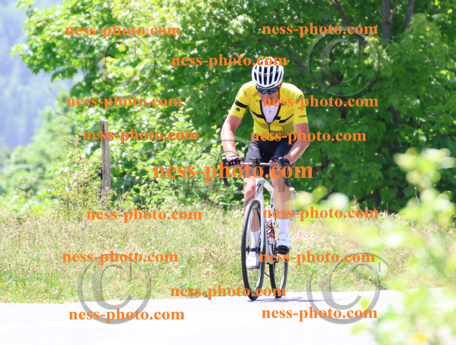 Col du grand Colombier (2753).JPG