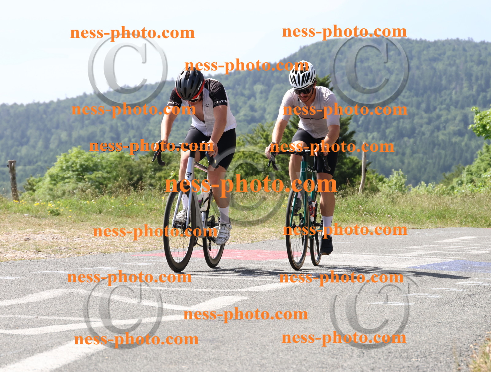 Col du grand Colombier (1019).JPG