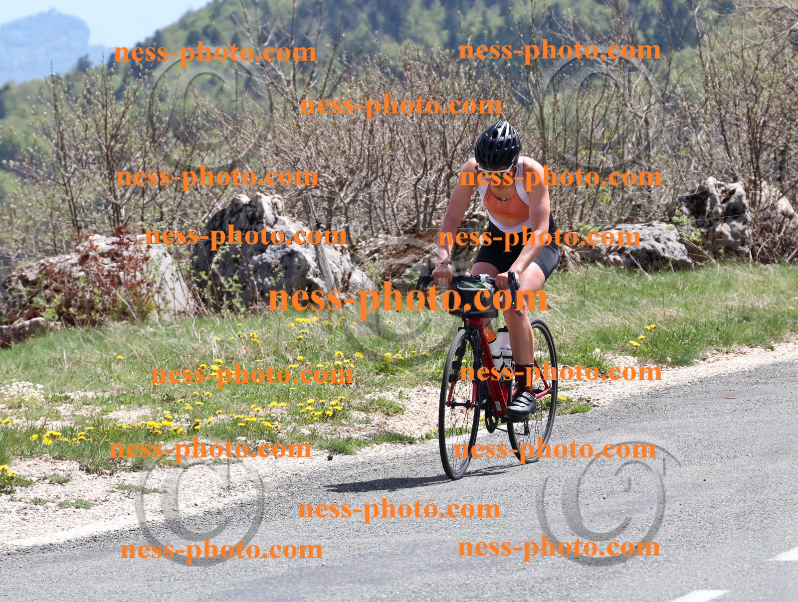 Col du Grand Colombier (834).JPG