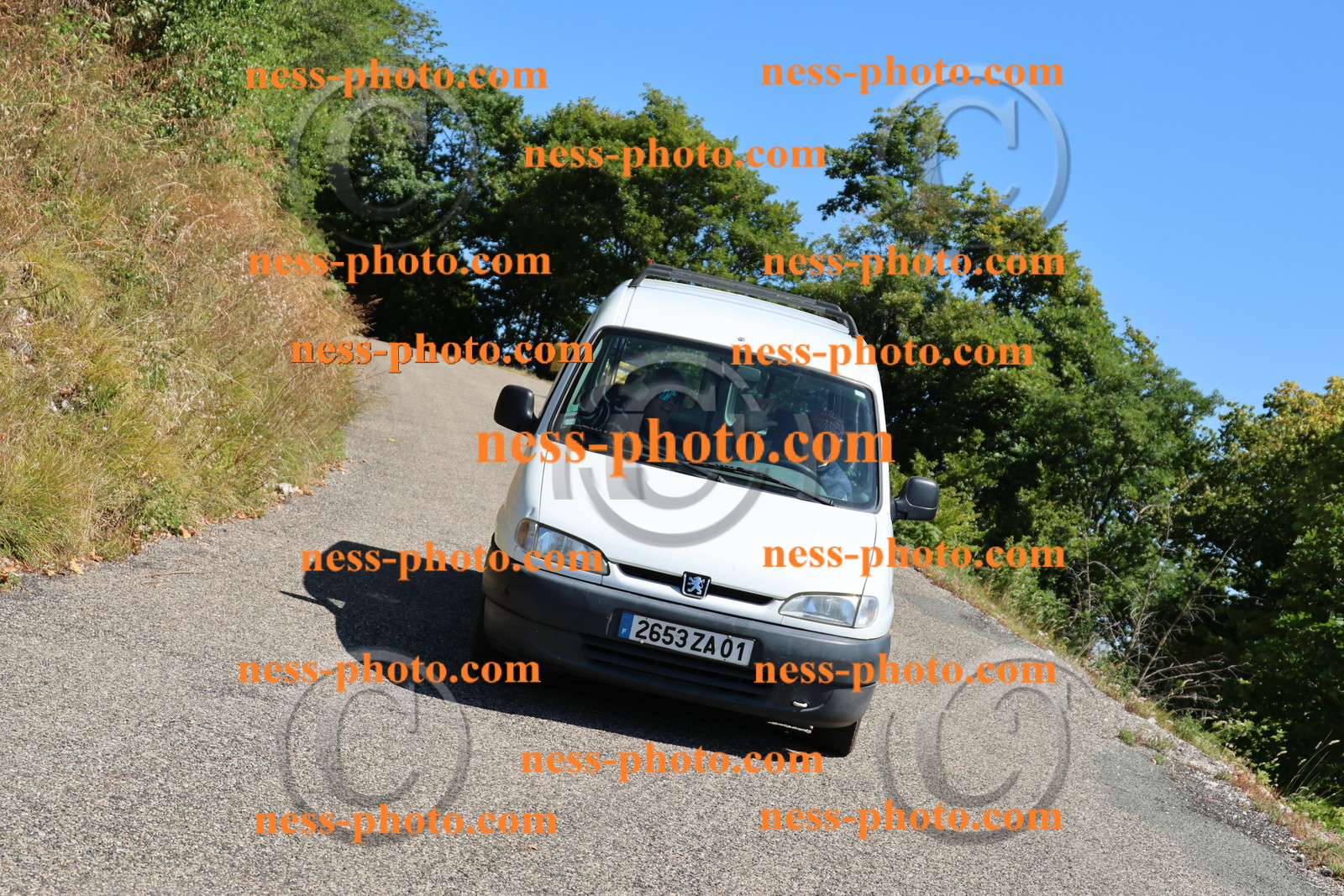 Col du Grand Colombier (12).JPG