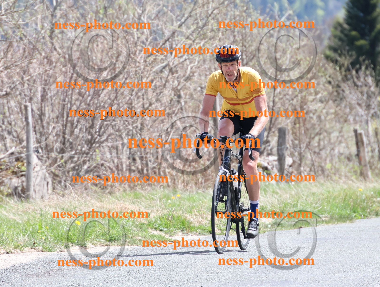 Col du Grand Colombier (907).JPG