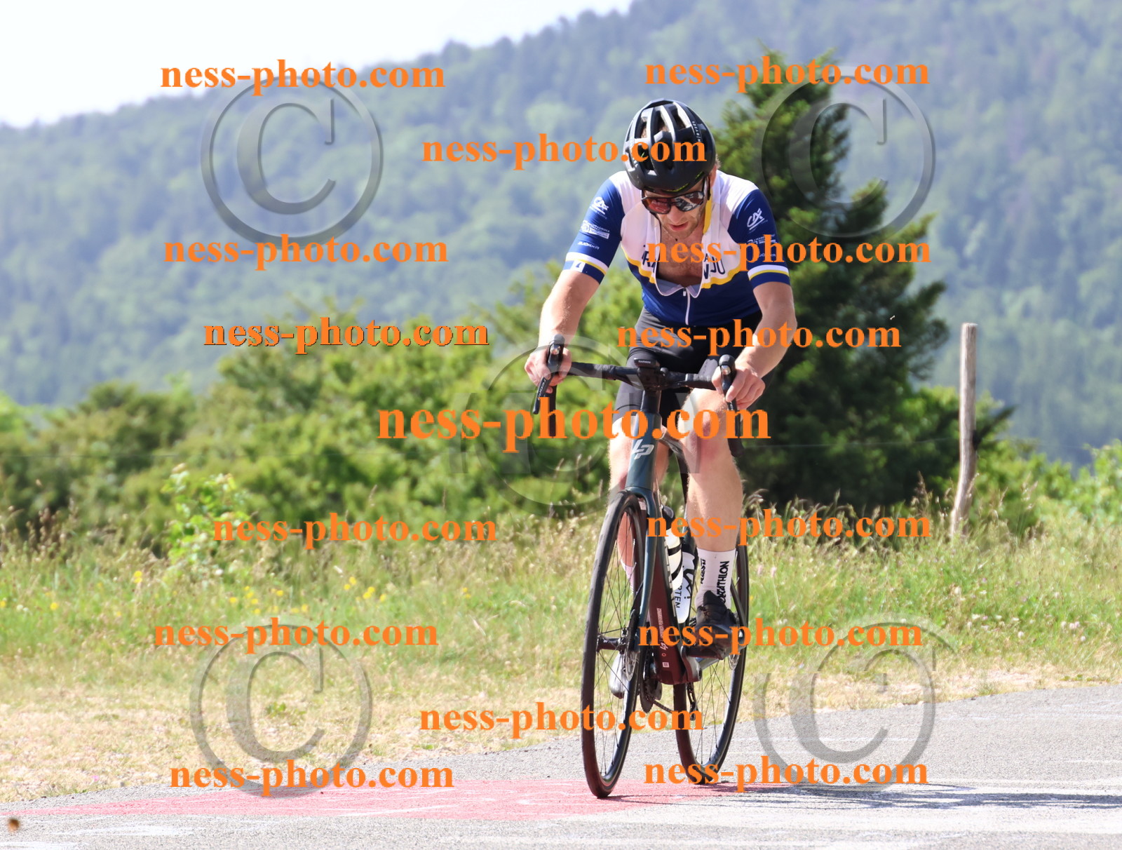 Col du grand Colombier (798).JPG