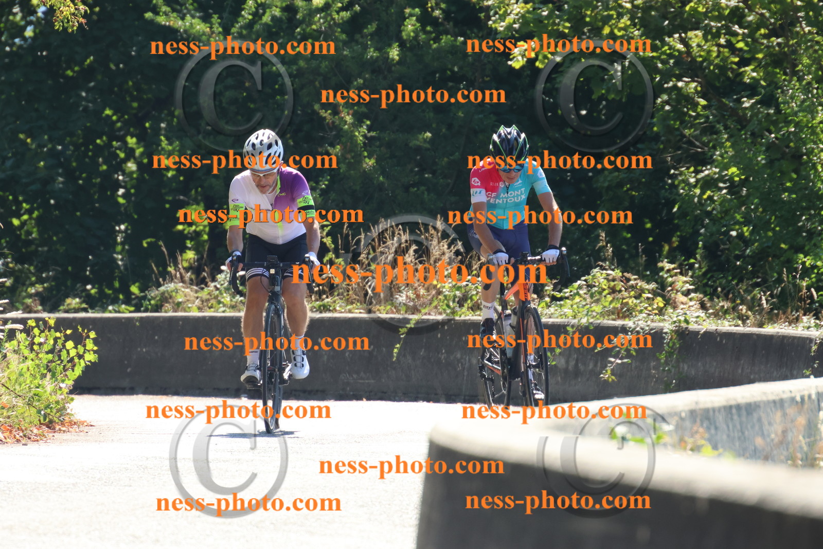 Col du Grand Colombier (32).JPG