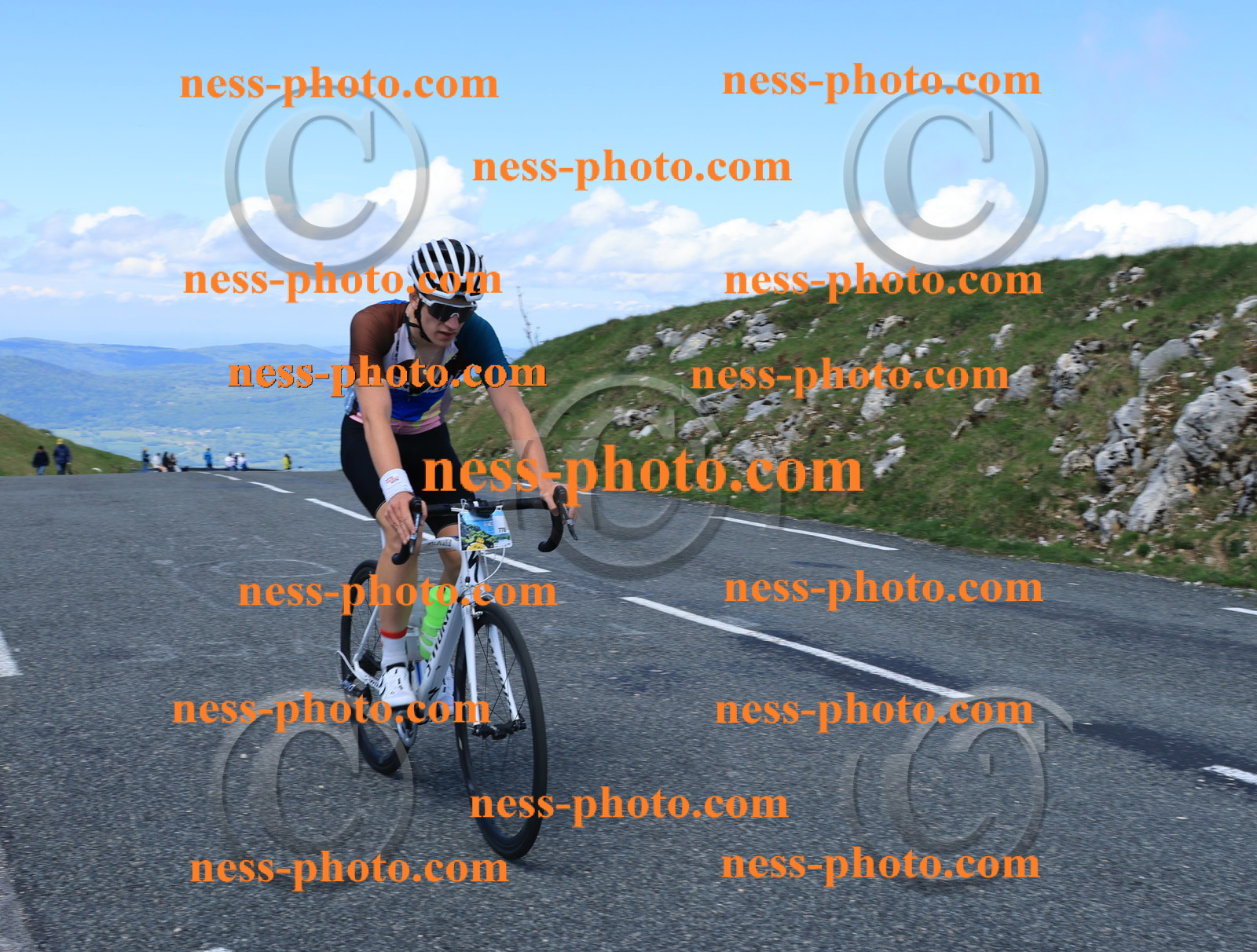 Col du Grand Colombier (1395).JPG