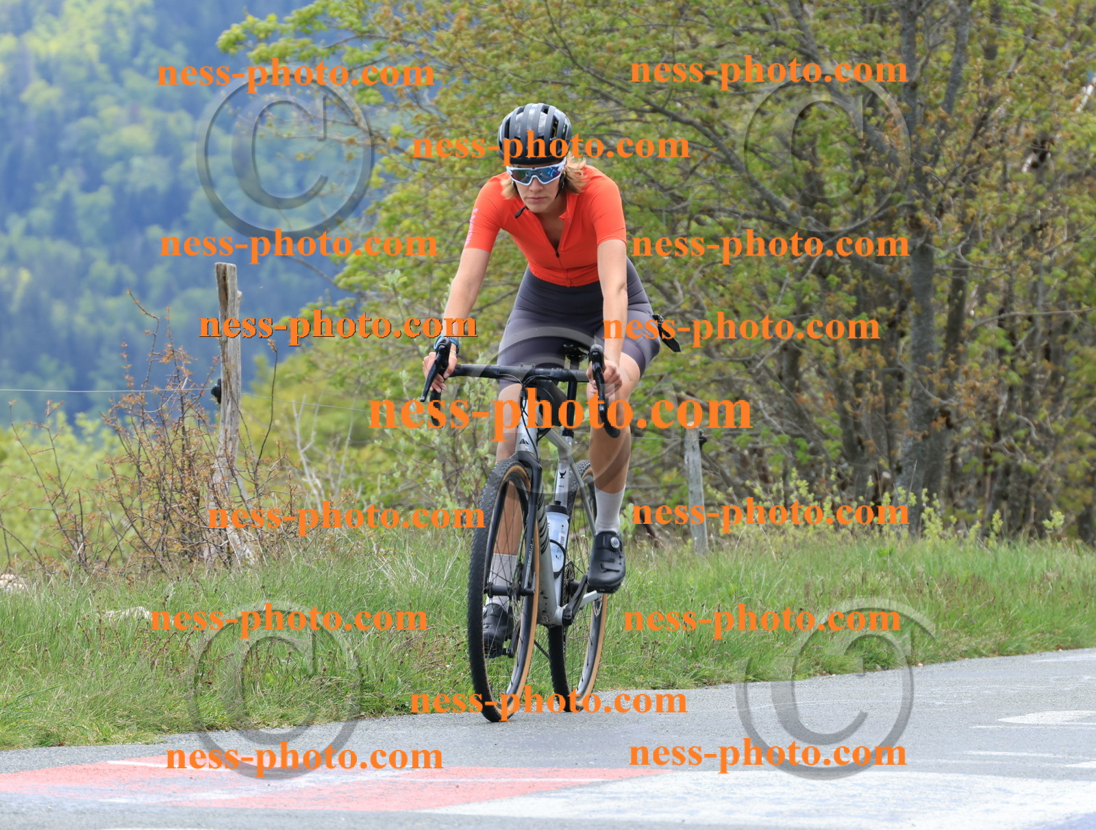 Col du Grand Colombier (390).JPG