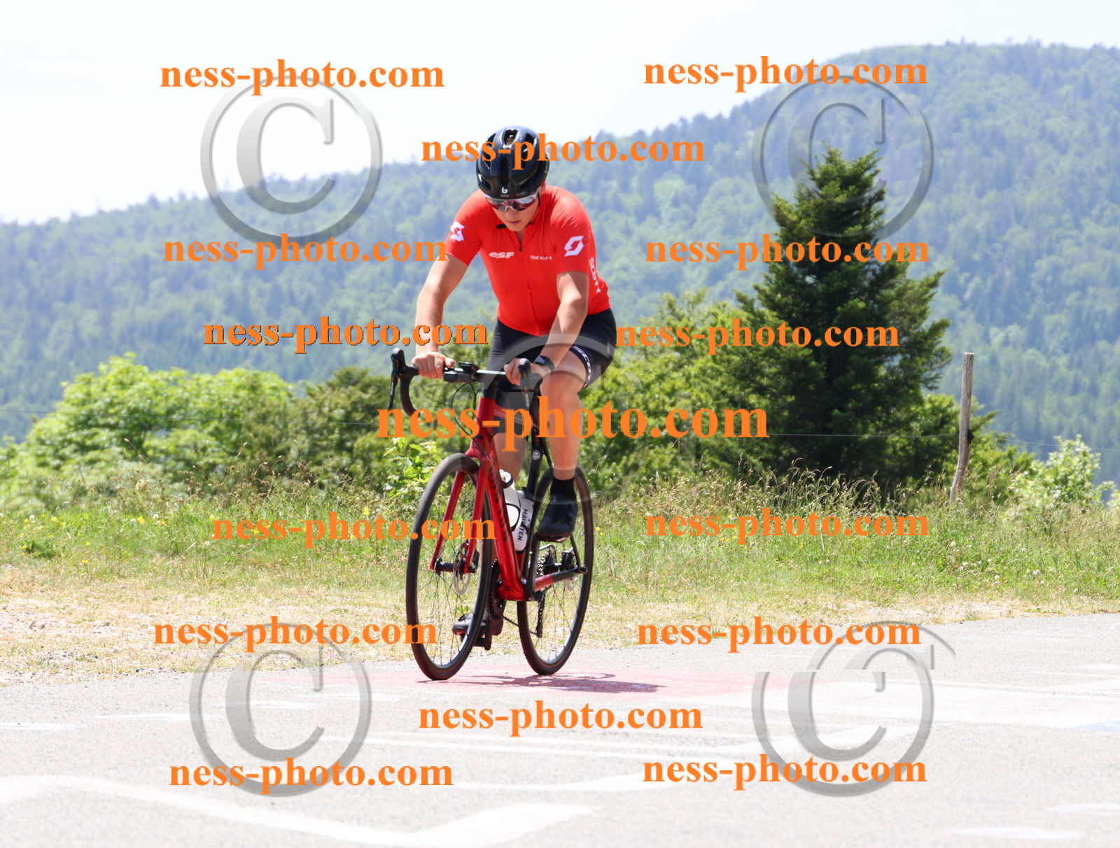 Col du grand Colombier (2704).JPG