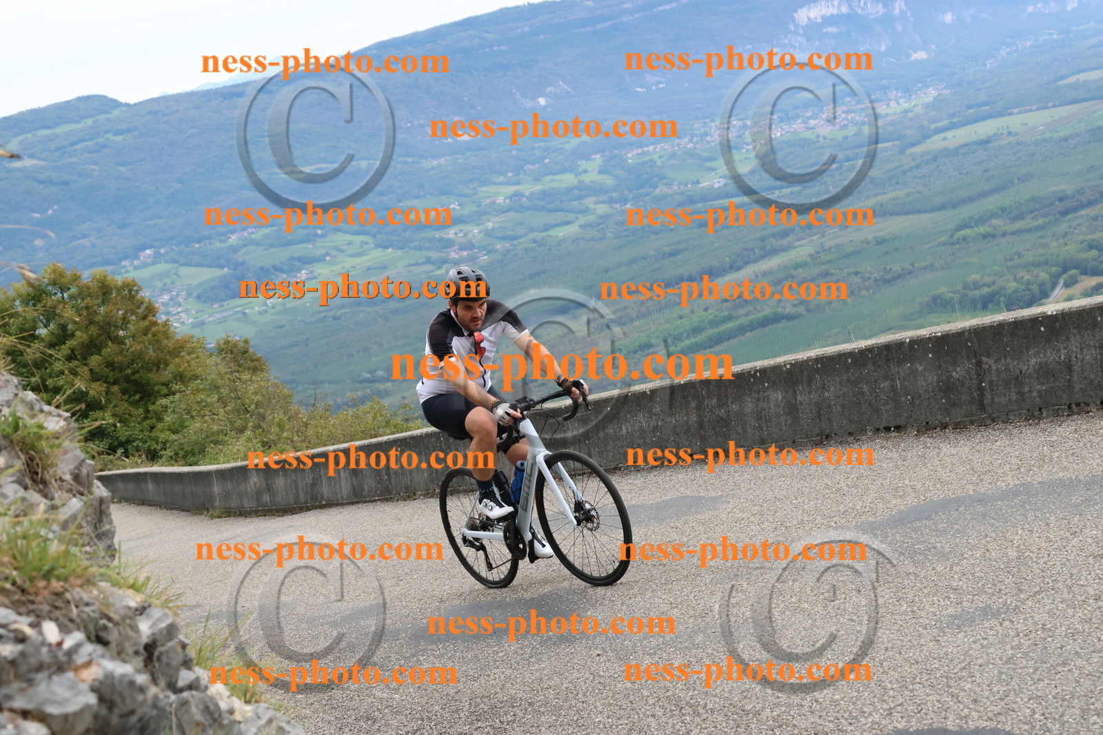 Col du Grand Colombier (2485).JPG