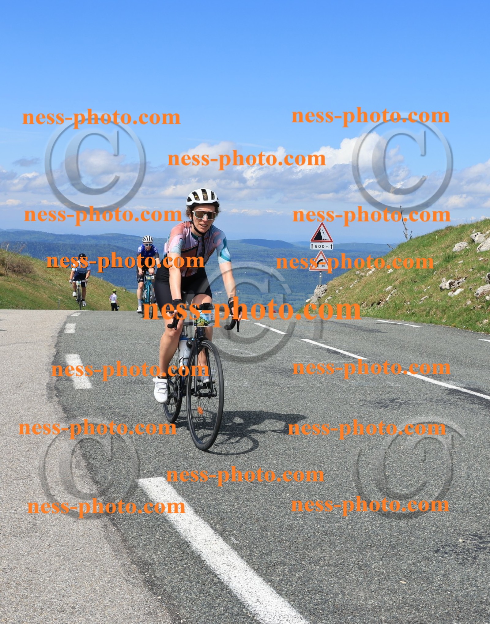 Col du Grand Colombier (1136).JPG