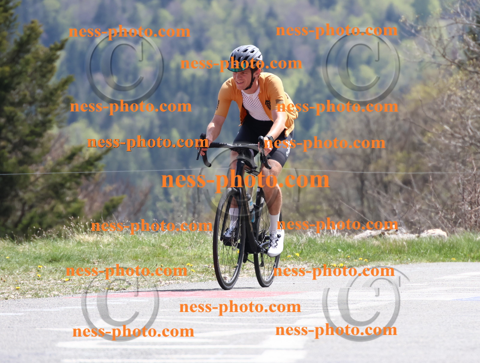 Col du Grand Colombier (938).JPG