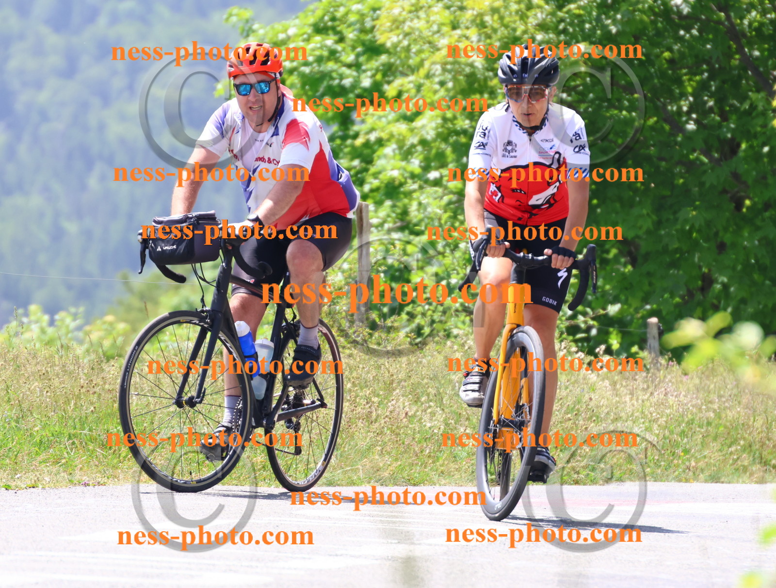 Col du grand Colombier (2549).JPG