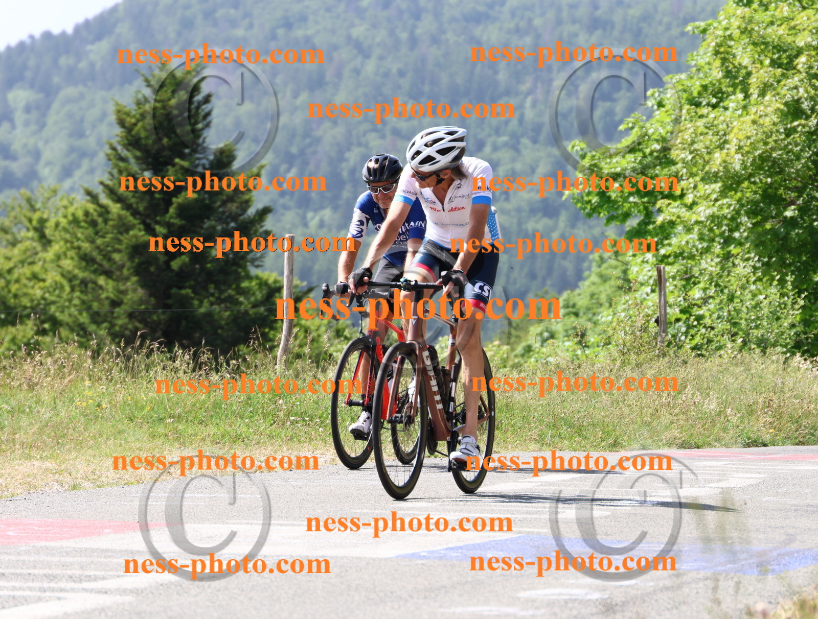 Col du grand Colombier (1166).JPG