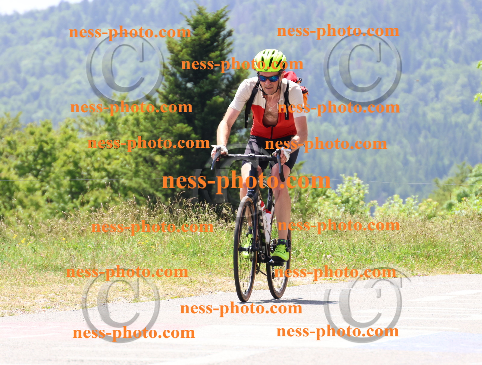 Col du grand Colombier (2737).JPG