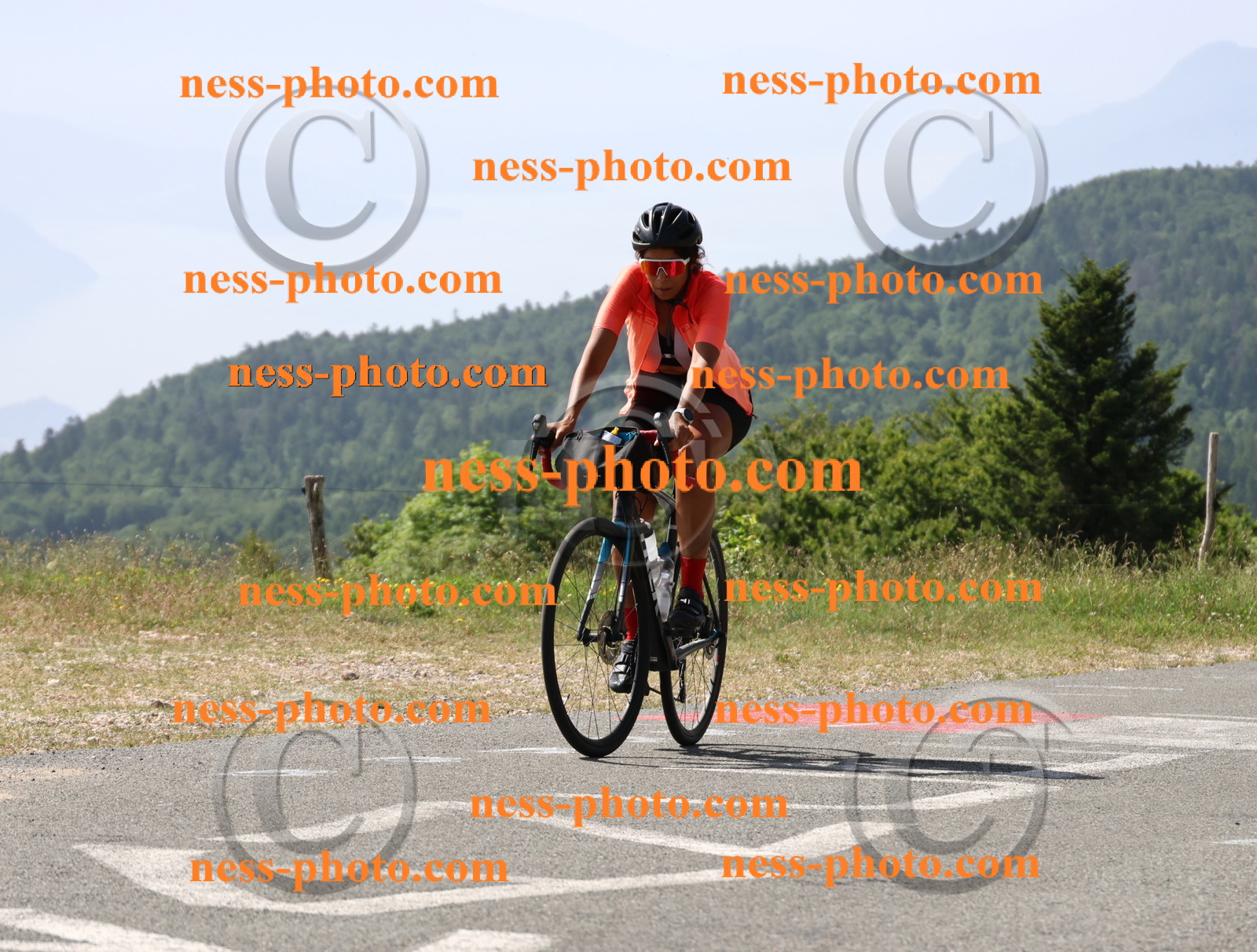 Col du grand Colombier (979).JPG