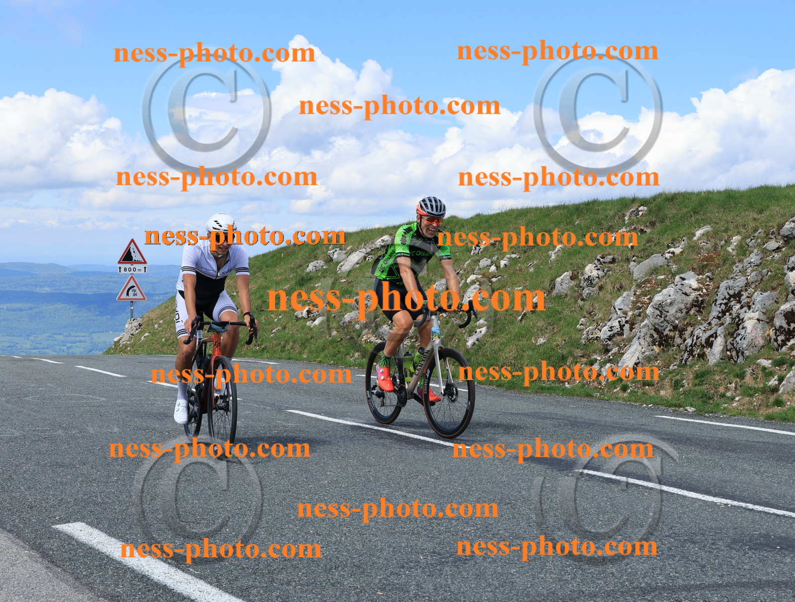 Col du Grand Colombier (2552).JPG