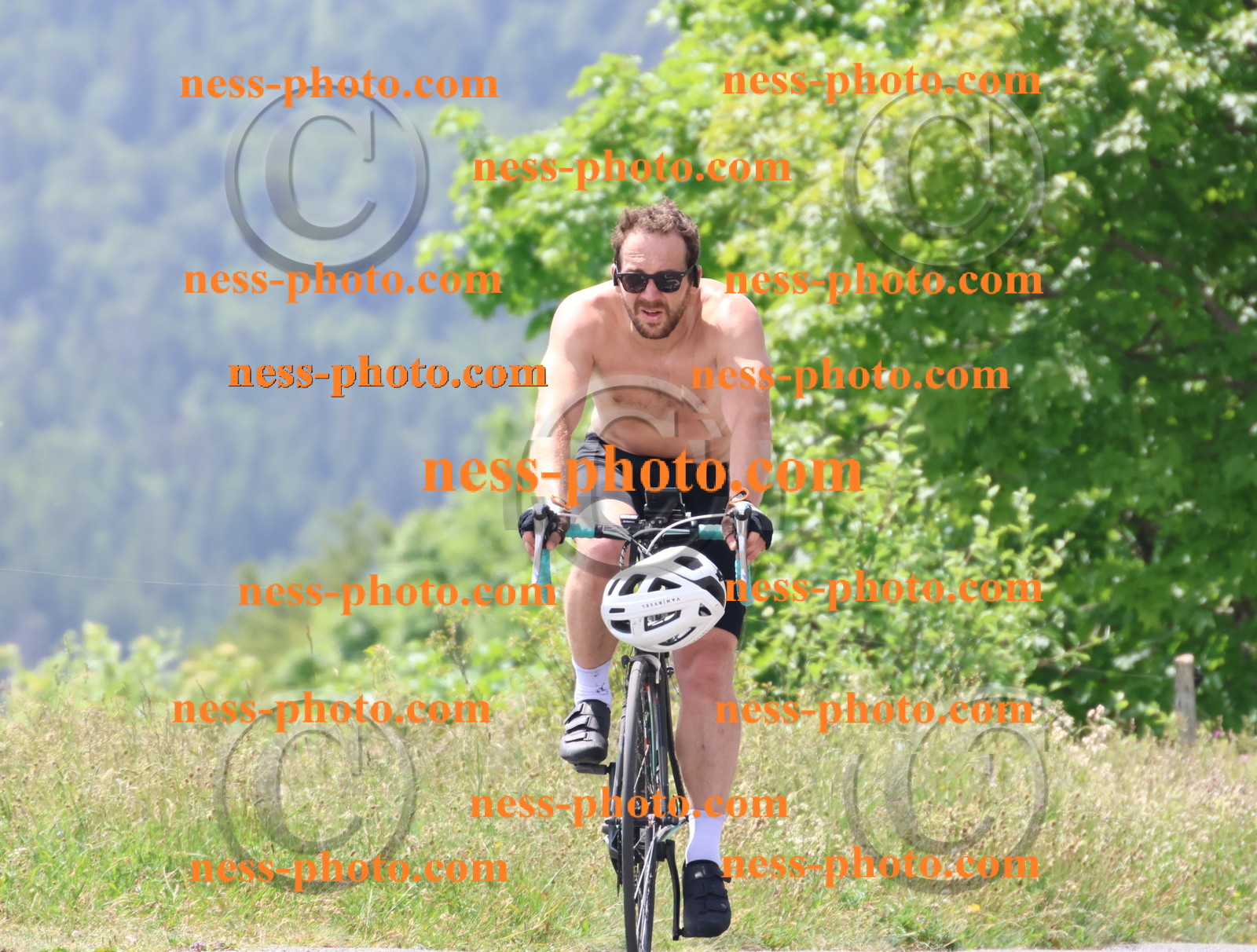 Col du grand Colombier (2072).JPG