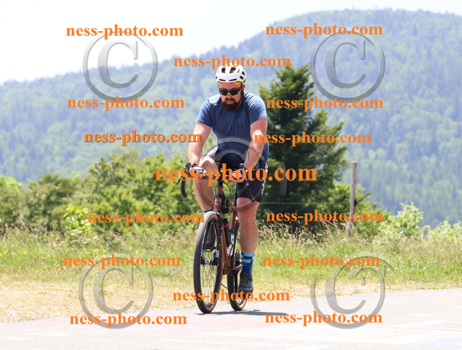 Col du grand Colombier (2773).JPG