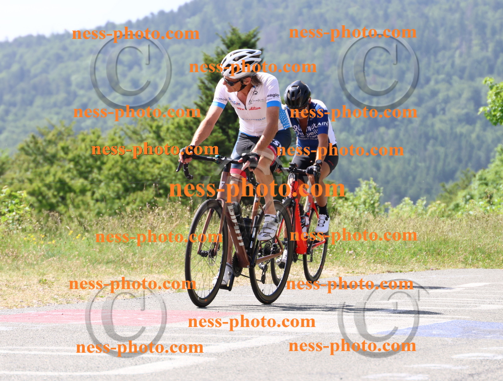 Col du grand Colombier (1167).JPG