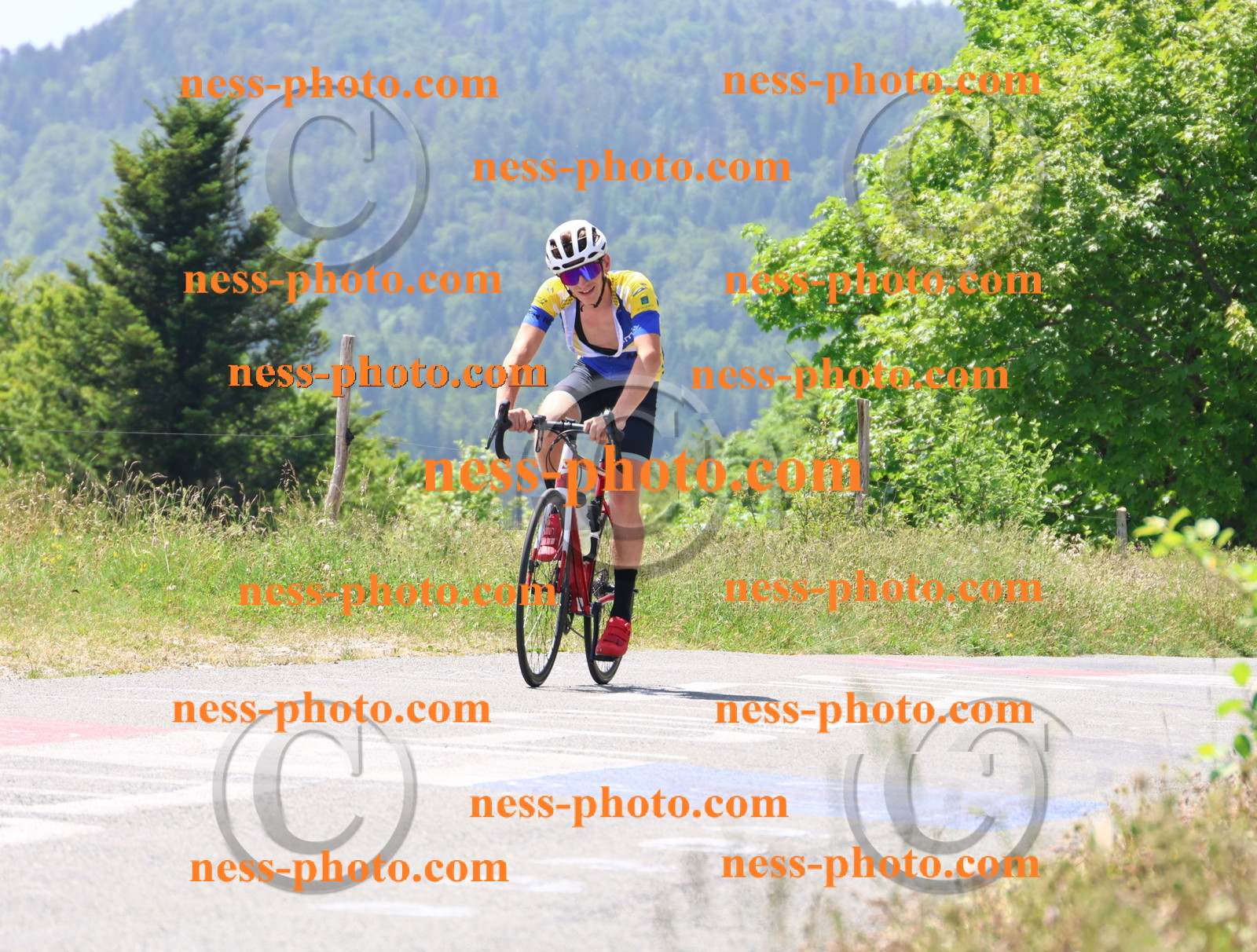 Col du grand Colombier (2358).JPG