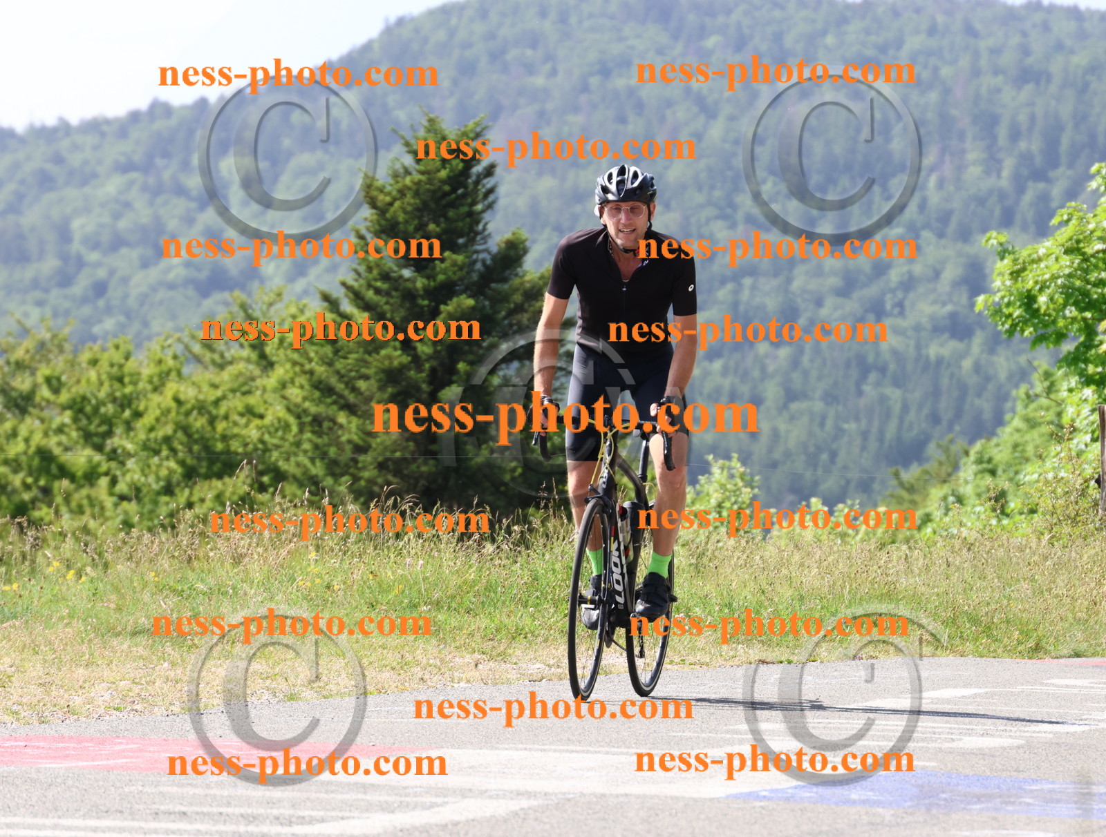 Col du grand Colombier (846).JPG