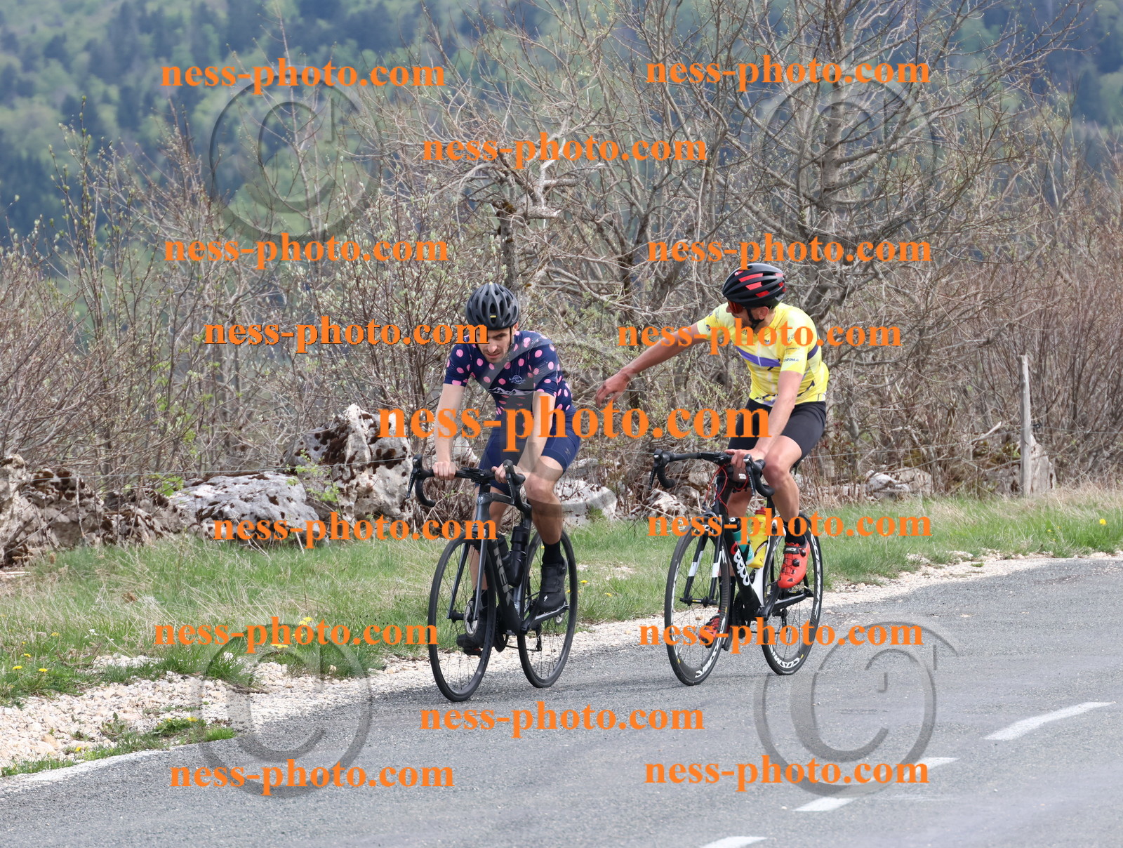 Col du Grand Colombier (1150).JPG