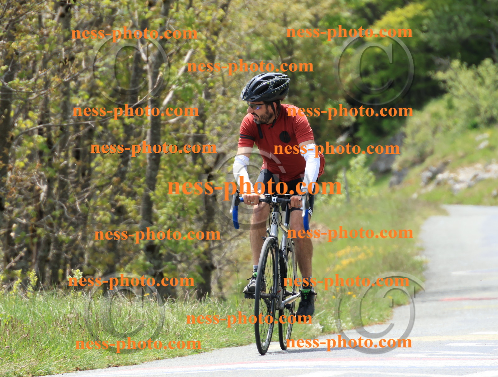 Col du Grand Colombier (325).JPG