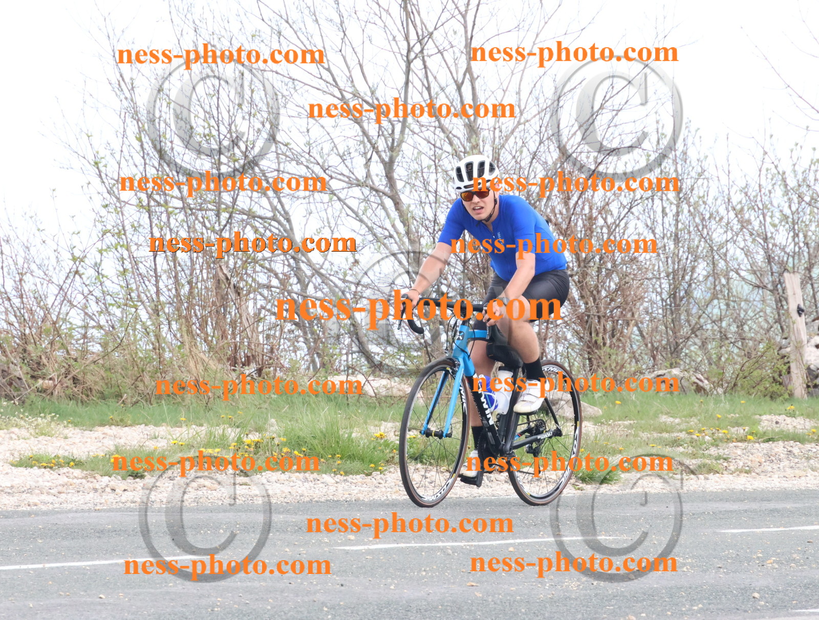 Col du Grand Colombier (251).JPG