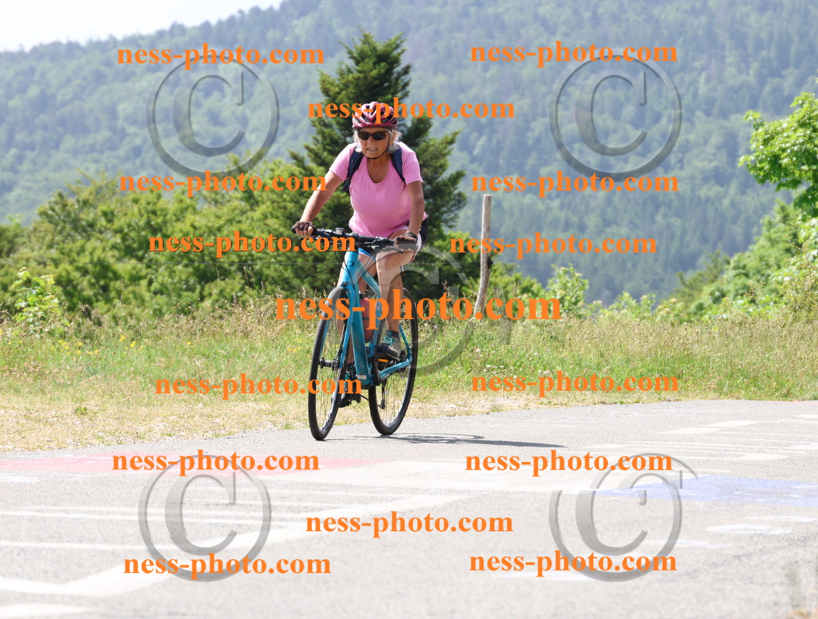 Col du grand Colombier (1710).JPG