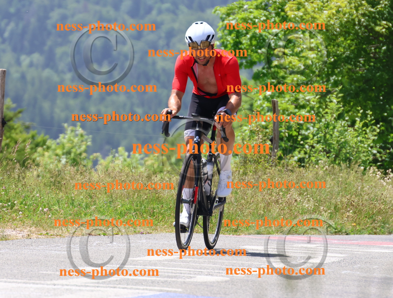 Col du grand Colombier (2518).JPG