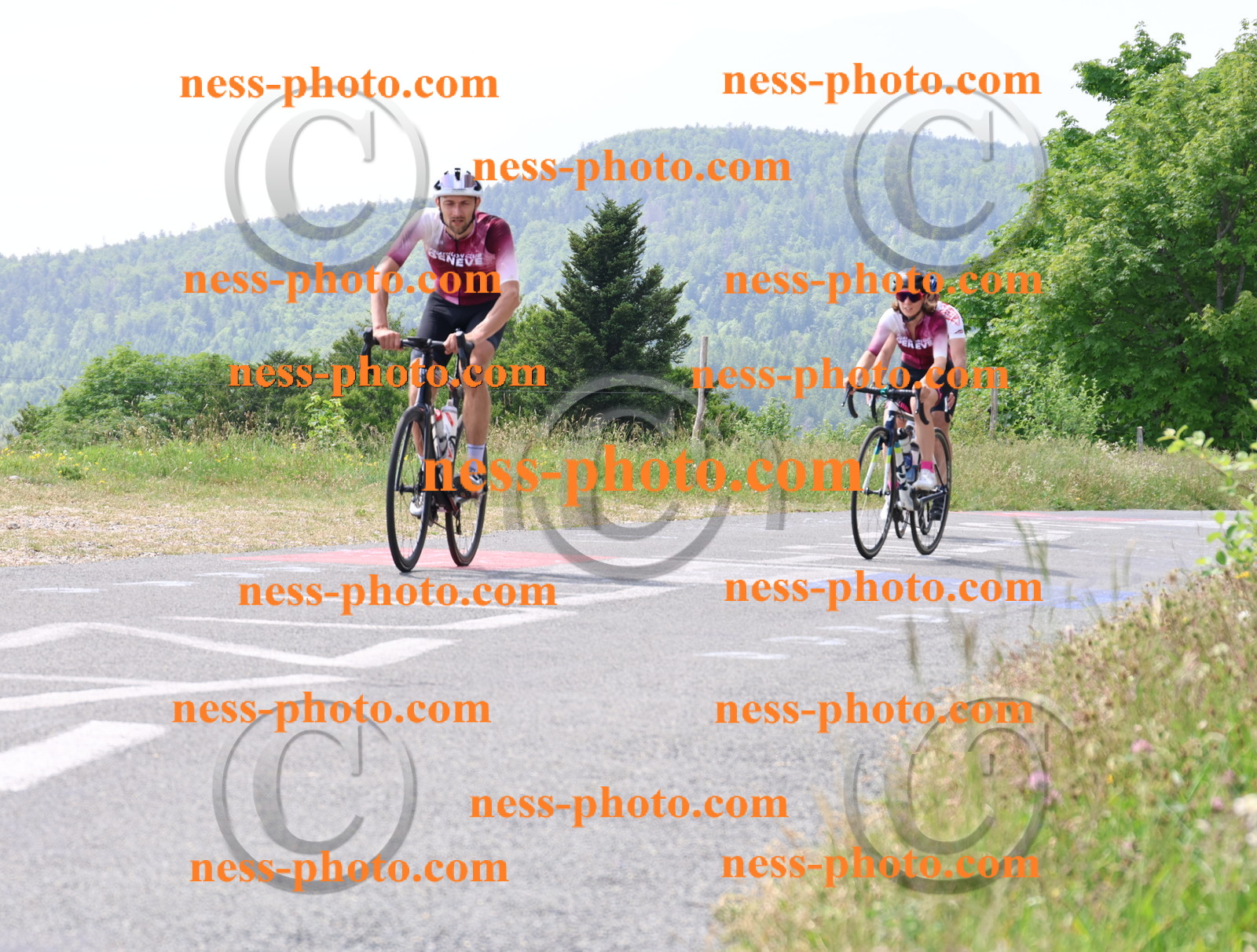 Col du grand Colombier (1749).JPG