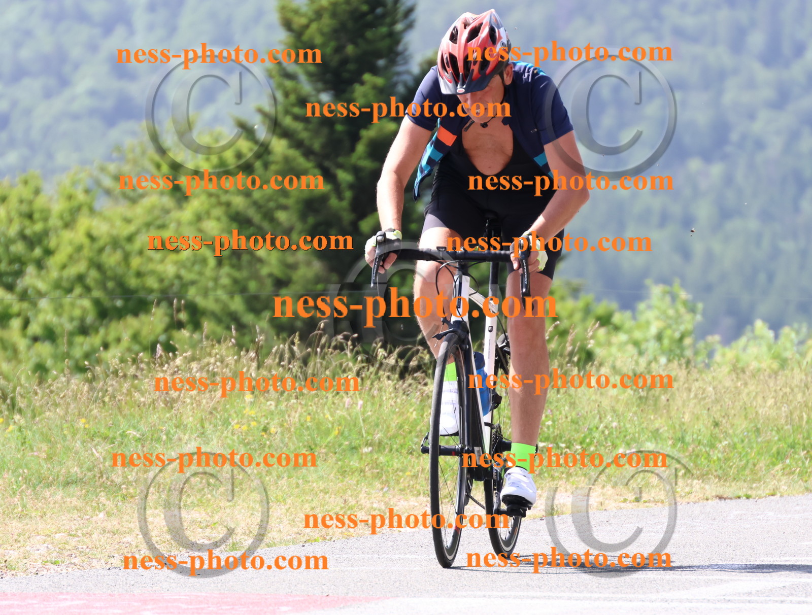 Col du grand Colombier (1198).JPG