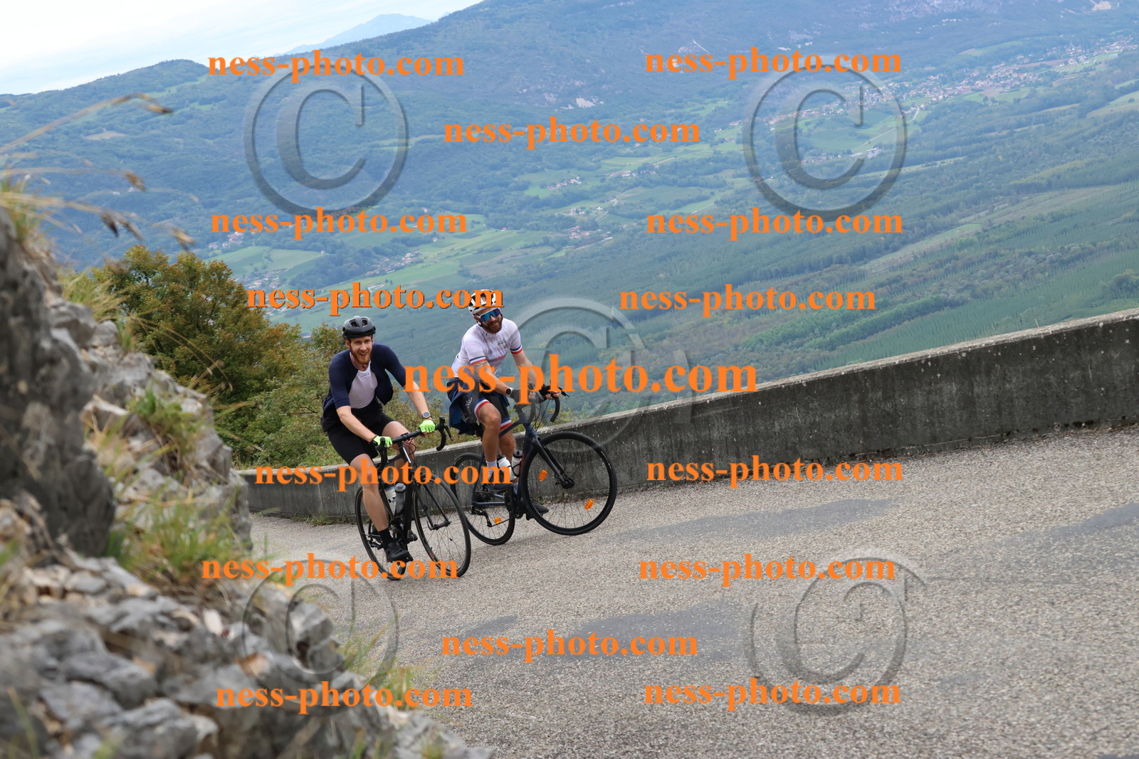 Col du Grand Colombier (1407).JPG