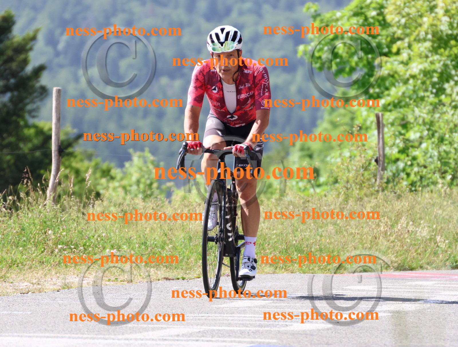 Col du grand Colombier (753).JPG