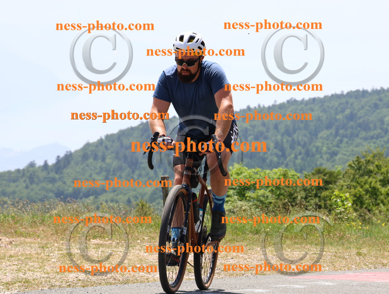 Col du grand Colombier (2775).JPG