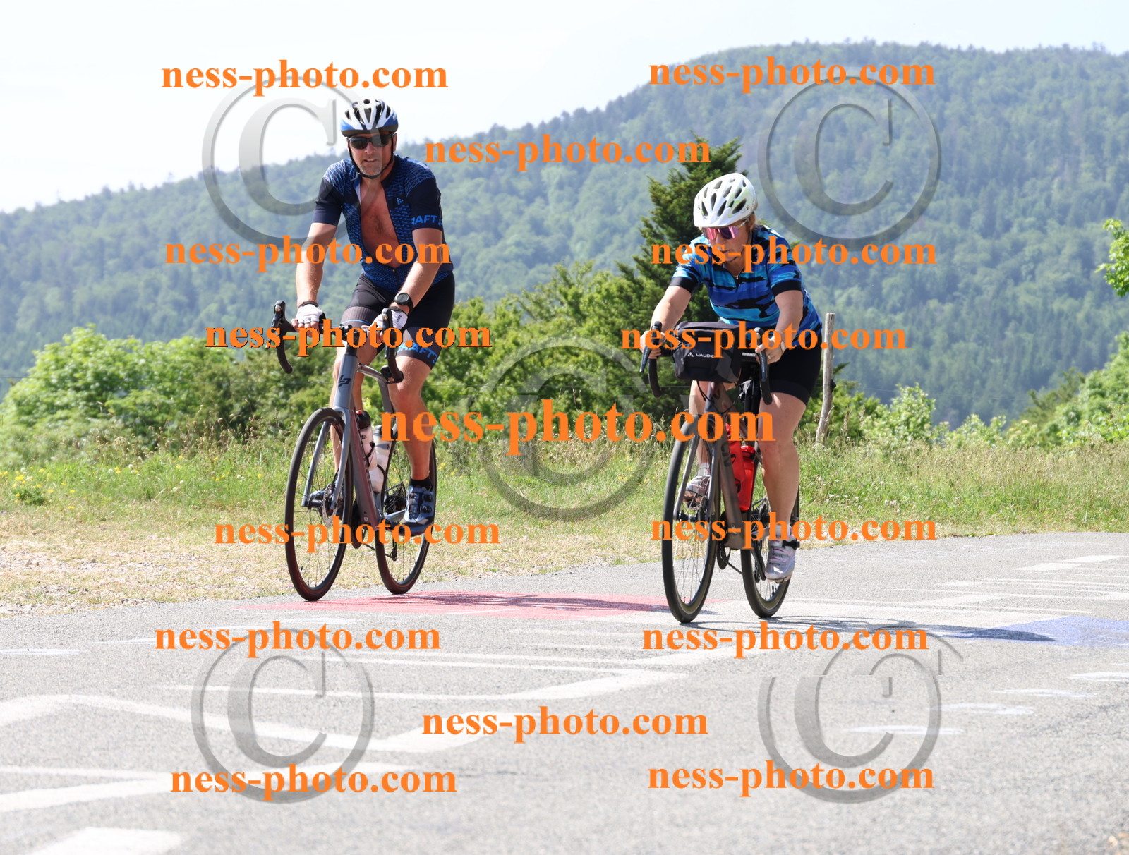 Col du grand Colombier (1243).JPG
