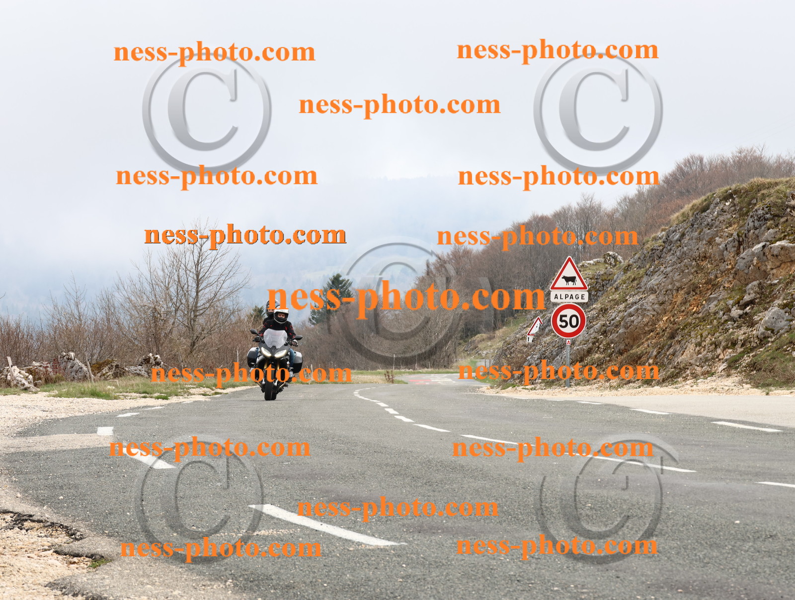 Col du Grand Colombier (39).JPG