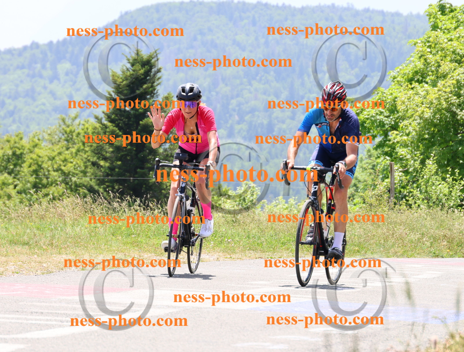 Col du grand Colombier (2981).JPG