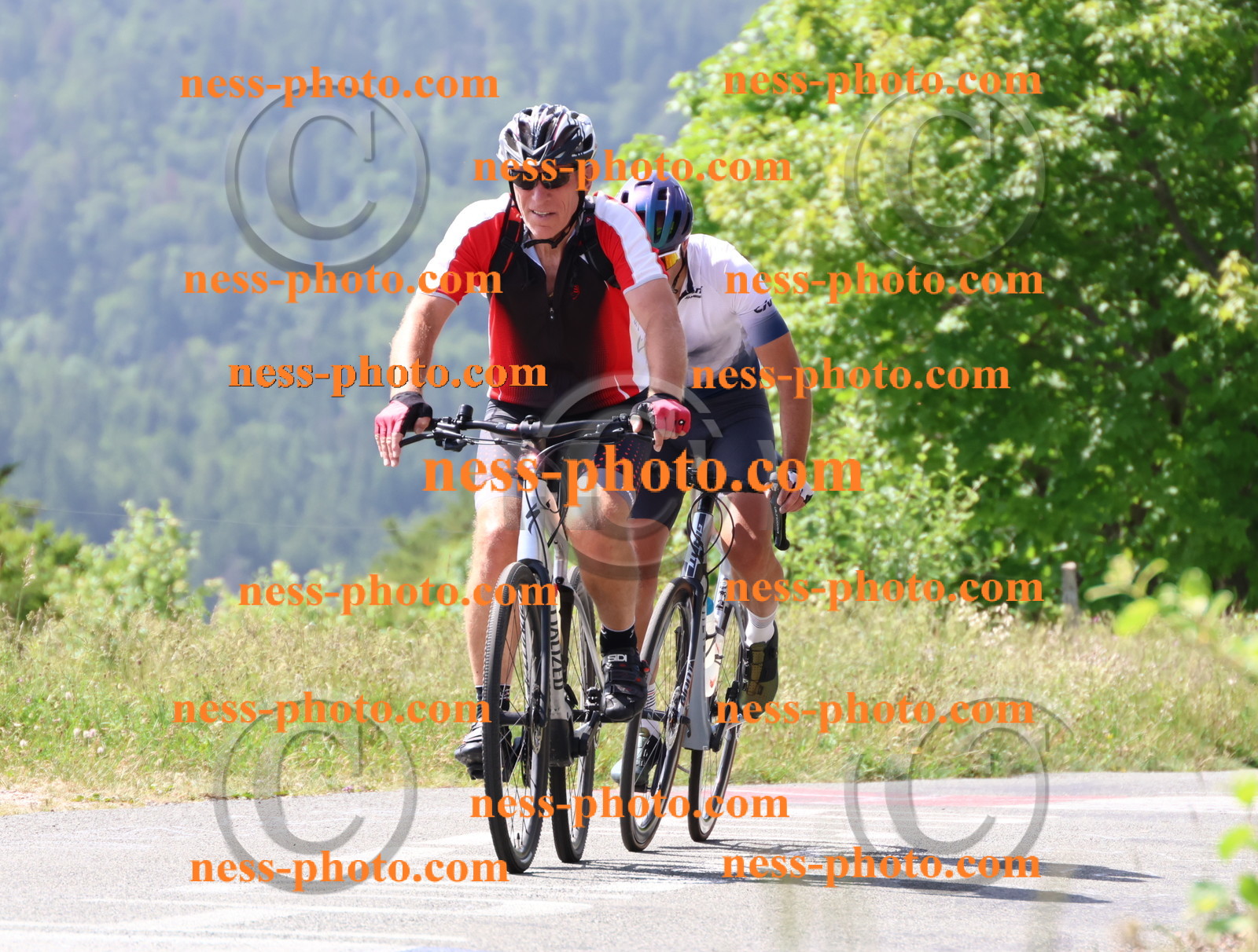 Col du grand Colombier (1351).JPG